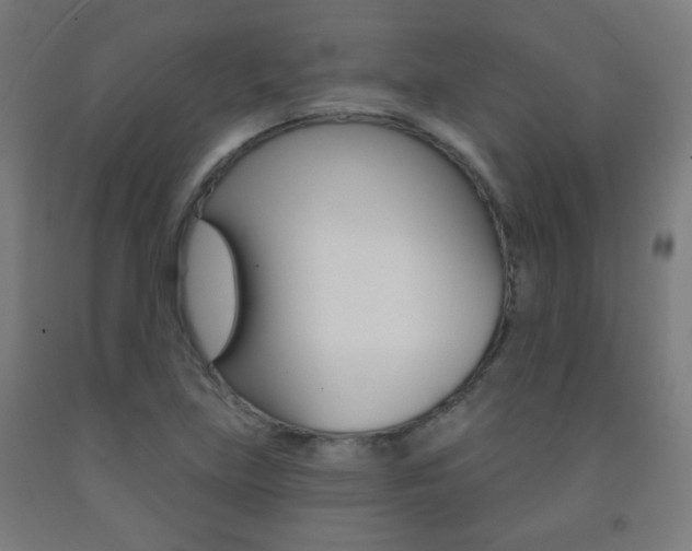 X0000093251219200709261549