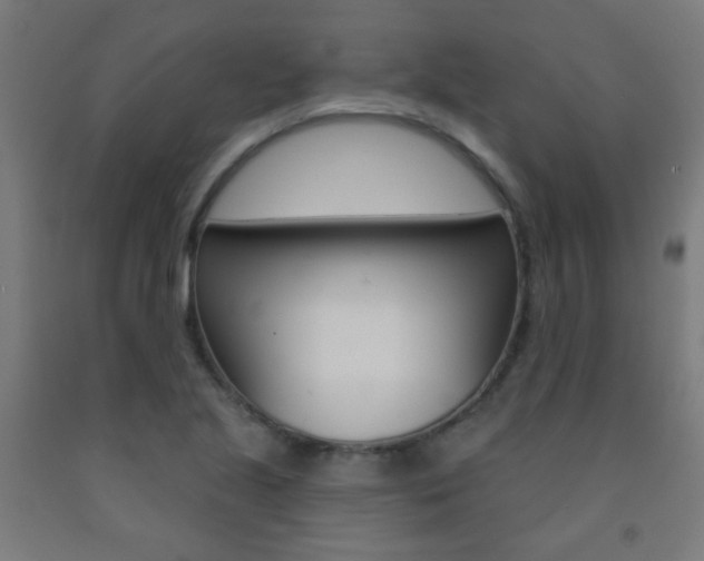 X0000093251221200709261549
