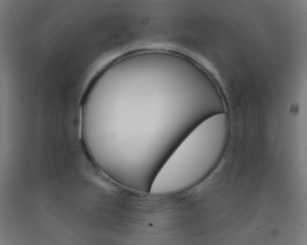 X0000093251223200709261549