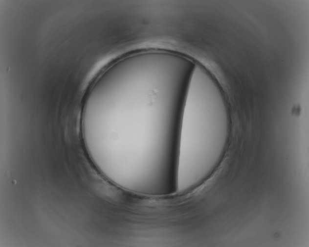 X0000093251224200709261549