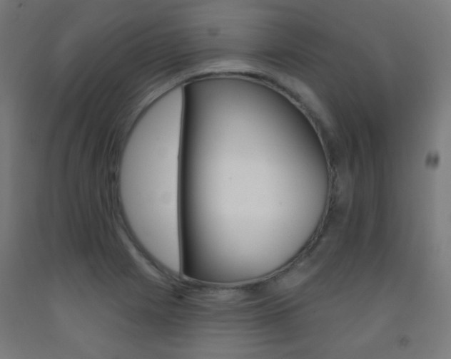 X0000093251225200709261549
