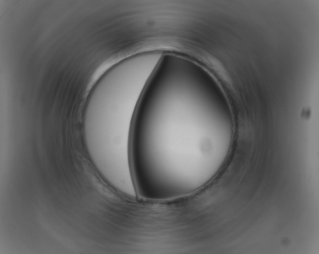 X0000093251226200709261549
