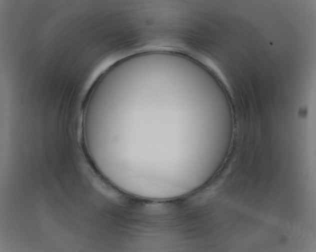 X0000093251227200709261549