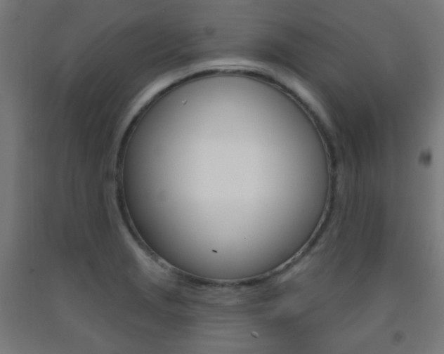 X0000093251229200709261549