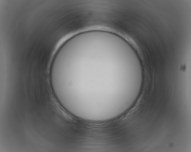 X0000093251230200709261549
