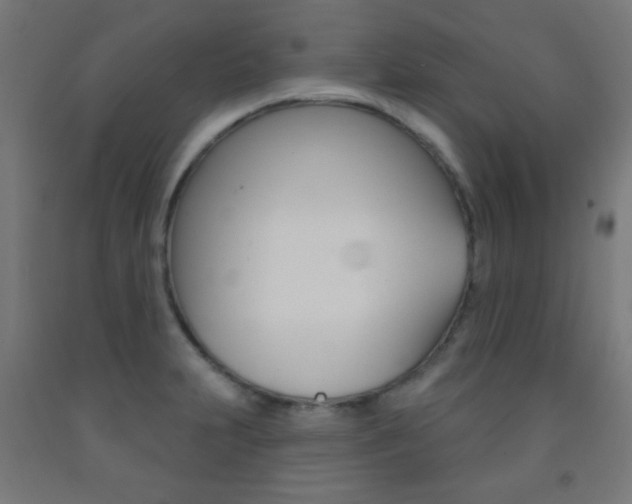 X0000093251231200709261549