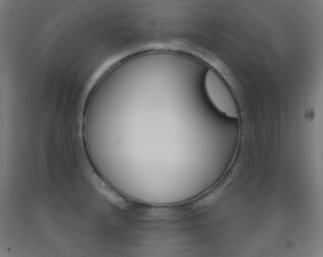 X0000093251232200709261549