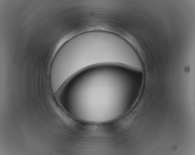 X0000093251234200709261549