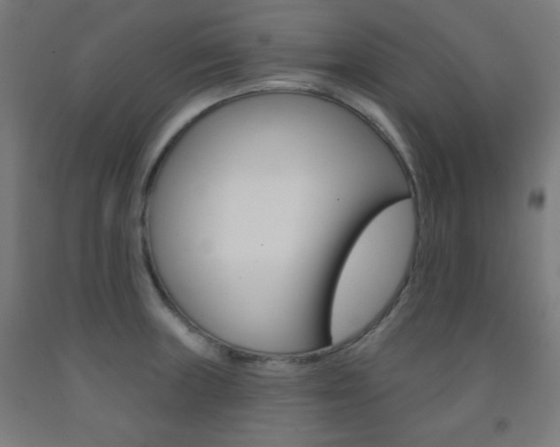 X0000093251235200709261549