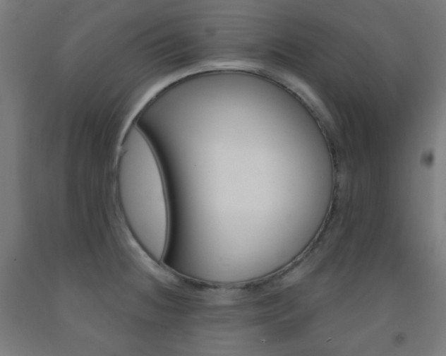 X0000093251236200709261549