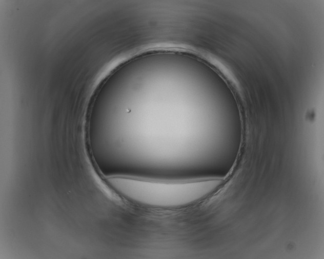 X0000093251237200709261549