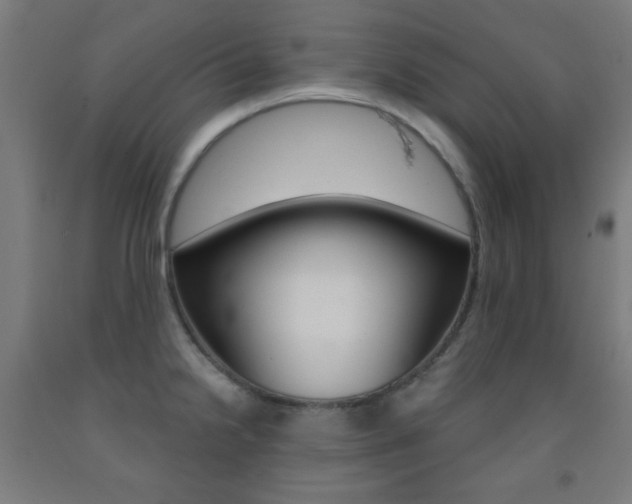 X0000093251238200709261549