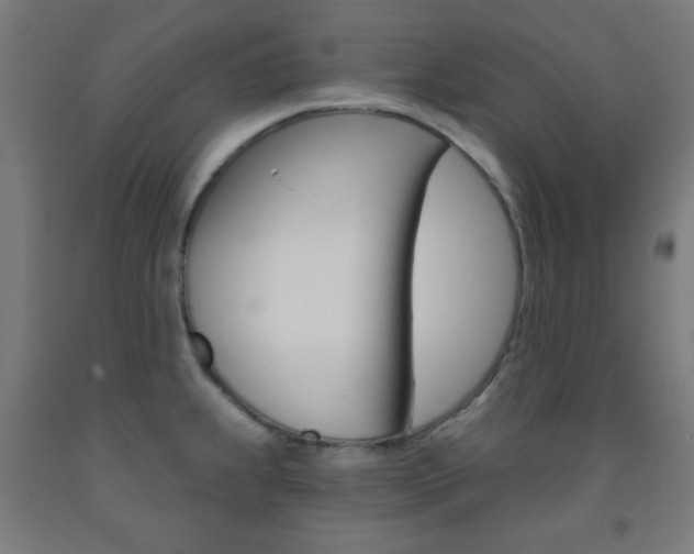 X0000093251239200709261549