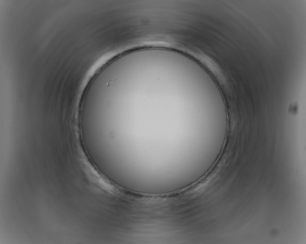X0000093251240200709261549