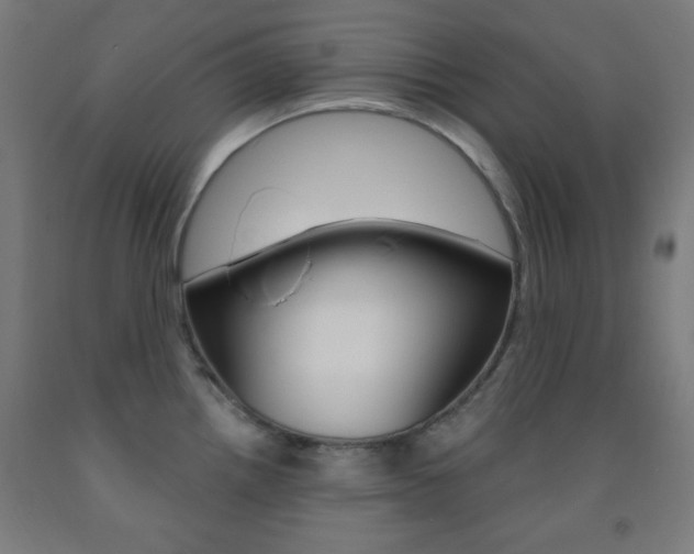 X0000093251242200709261549