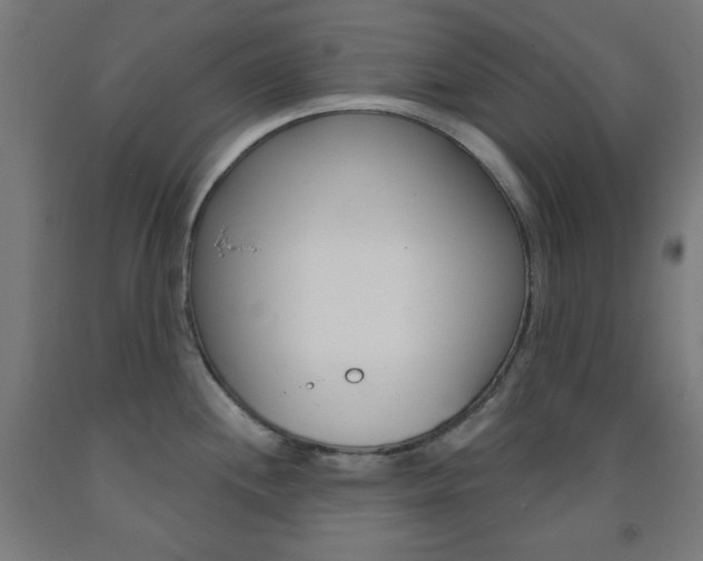 X0000093251244200709261549