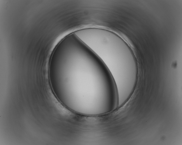 X0000093251246200709261549
