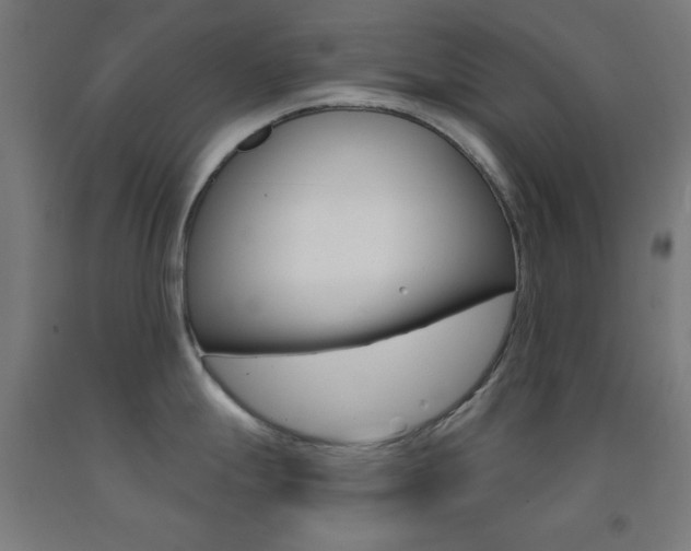 X0000093251247200709261550