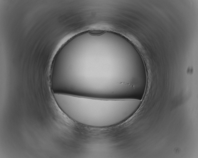 X0000093251248200709261550