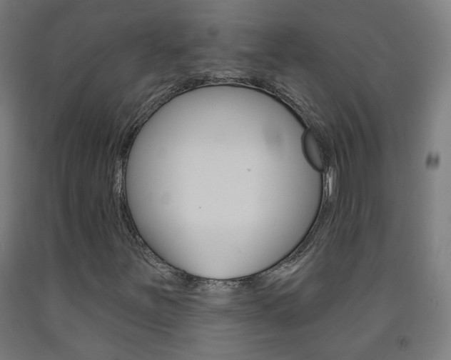 X0000093251251200709261549