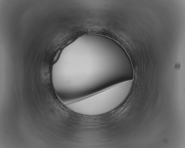 X0000093251252200709261549