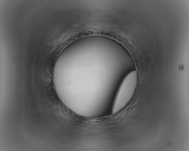 X0000093251253200709261549
