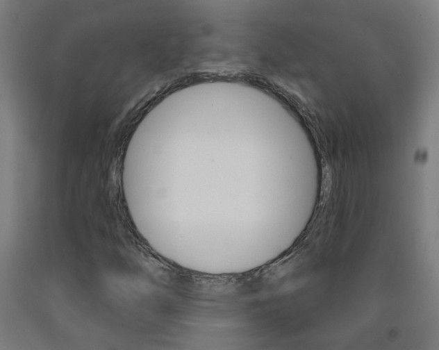 X0000093251254200709261549