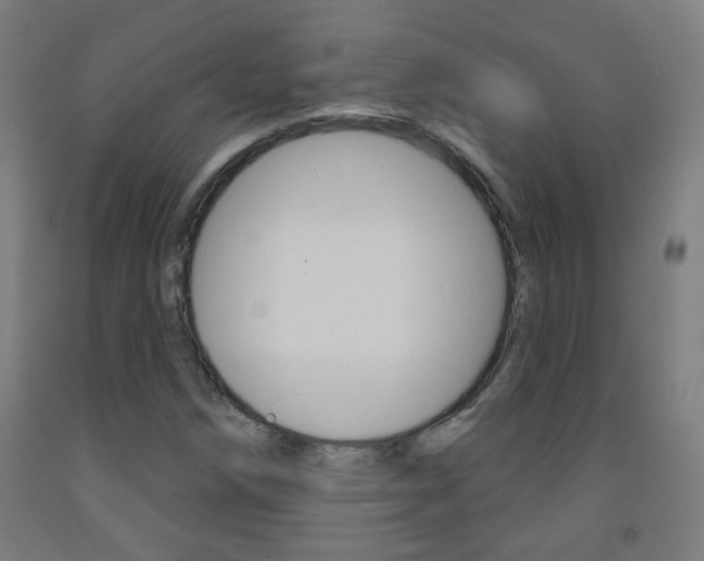 X0000093251258200709261549