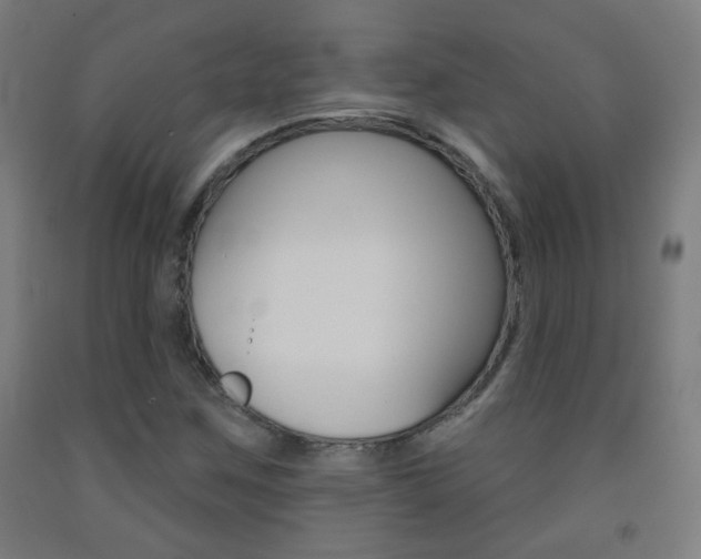 X0000093251259200709261549