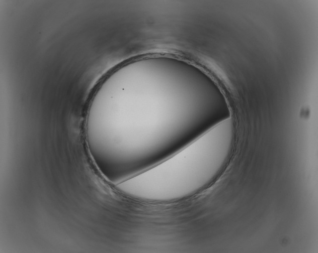 X0000093251260200709261549