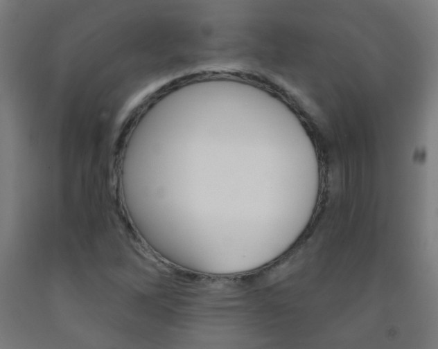 X0000093251262200709261549