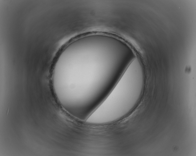 X0000093251264200709261549