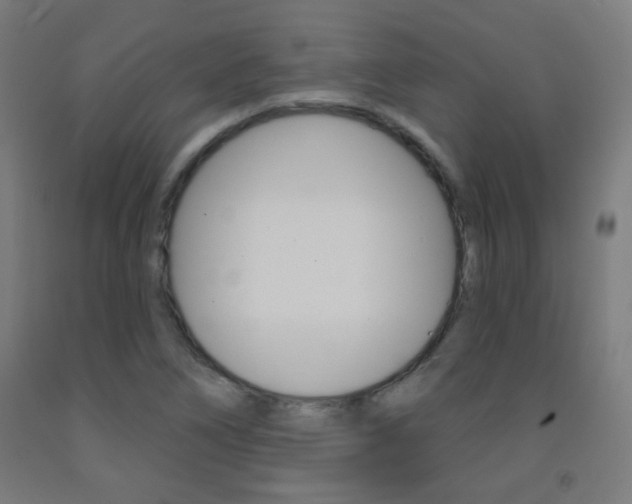 X0000093251266200709261549