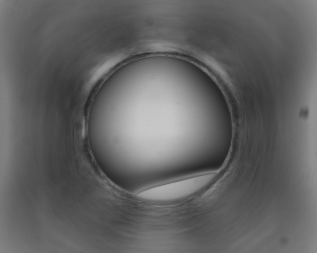 X0000093251269200709261549