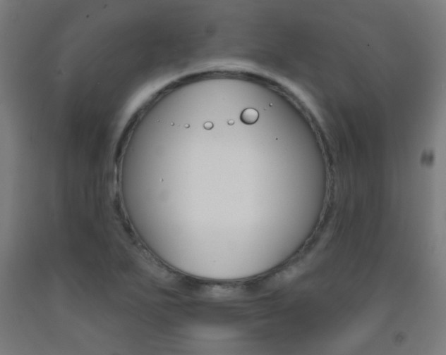 X0000093251271200709261549