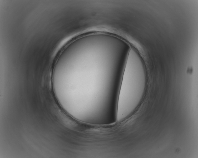X0000093251272200709261549