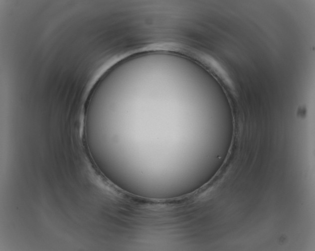X0000093251276200709261549