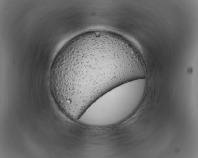 X0000093251279200709261549