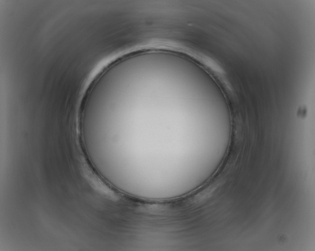 X0000093251280200709261549