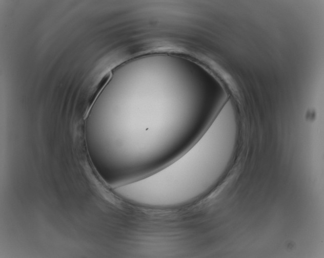 X0000093251281200709261549