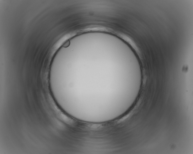 X0000093251282200709261549
