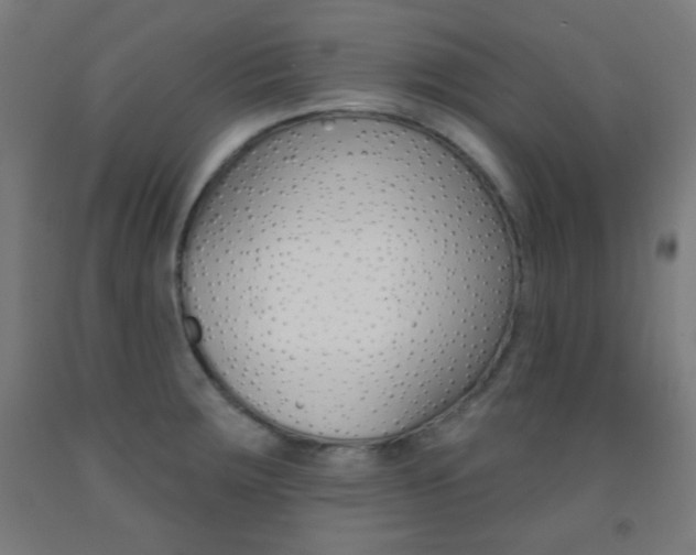 X0000093251283200709261548