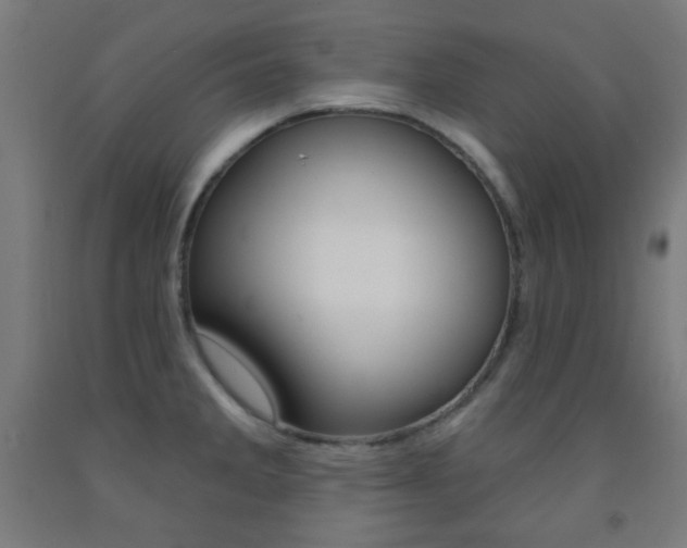X0000093251285200709261548