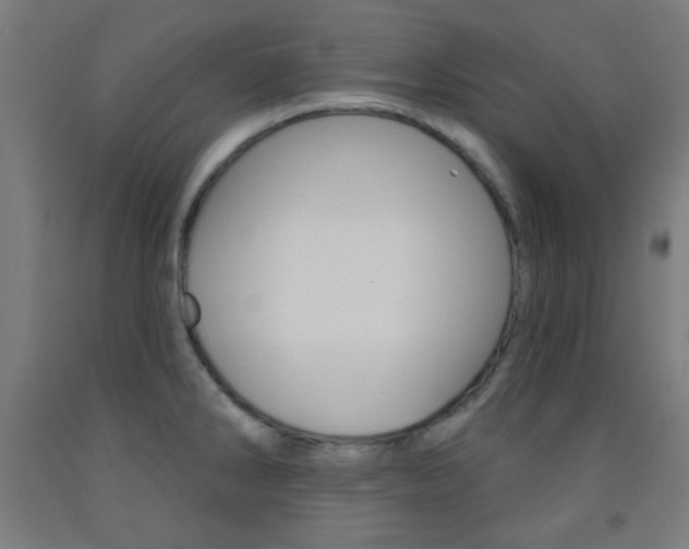 X0000093251286200709261548