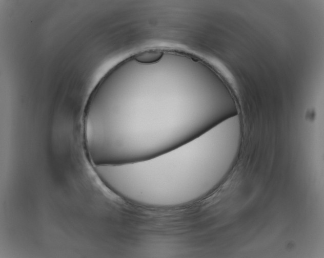 X0000093251287200709261548