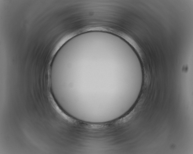 X0000093251290200709261548