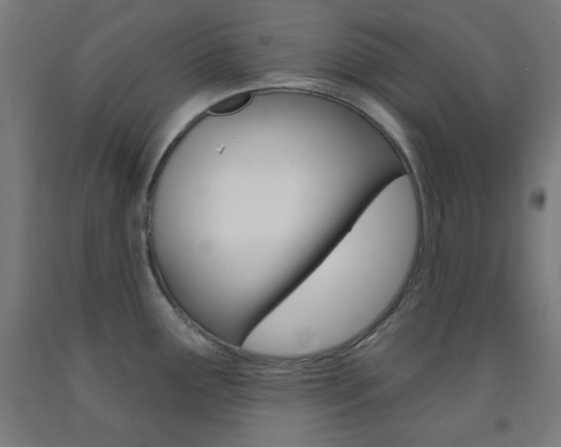 X0000093251291200709261548