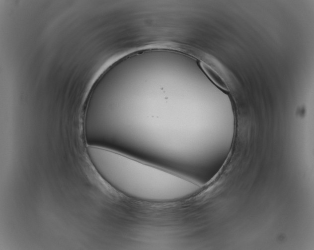 X0000093251292200709261548