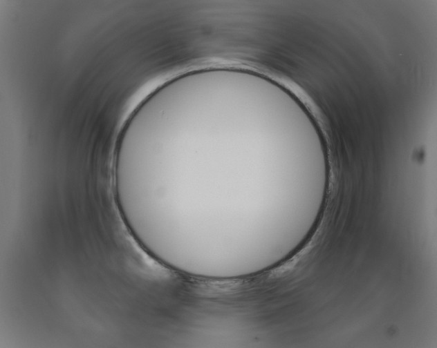 X0000093251294200709261548