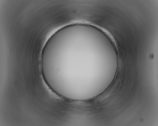 X0000093251295200709261548